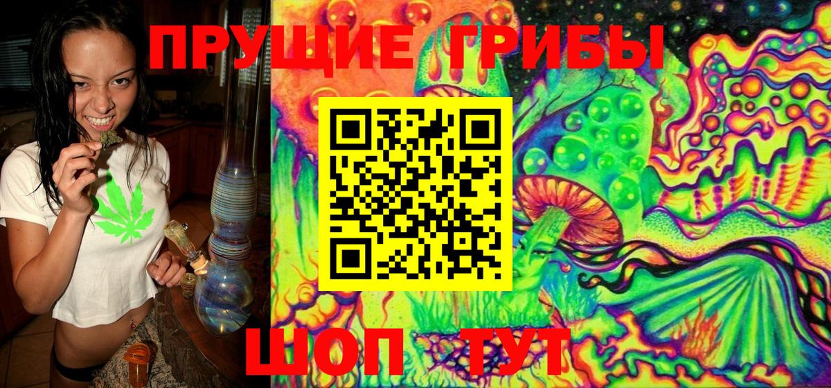 Псилоцибиновые грибы Psilocybe  Вход с VPN  Королёв 