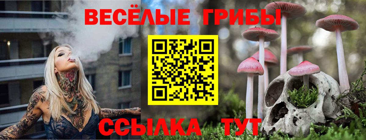 Псилоцибиновые грибы прущие грибы Королёв